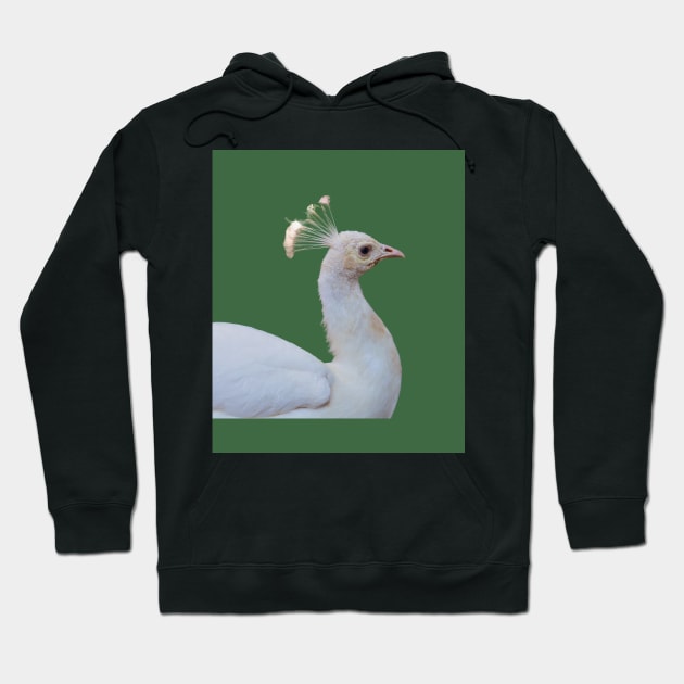 White peacock art Hoodie by IOANNISSKEVAS